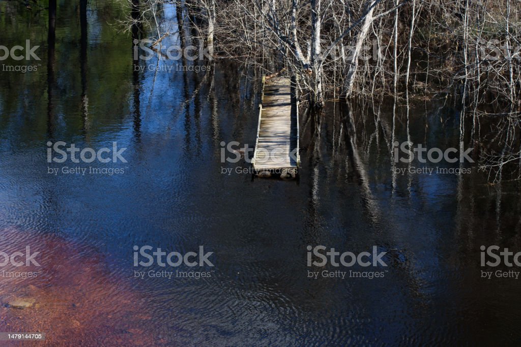 flooded river with floating boardwalk and trees in the water on a sunny spring day