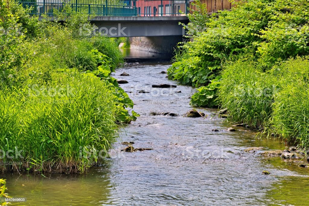 on the way in Thuringia